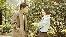 シチリアの恋 スペシャル・コレクターズ版 [Blu-ray] オリジナル特典付き】 映画「シチリアの恋」DVD＆ブルーレイ予約