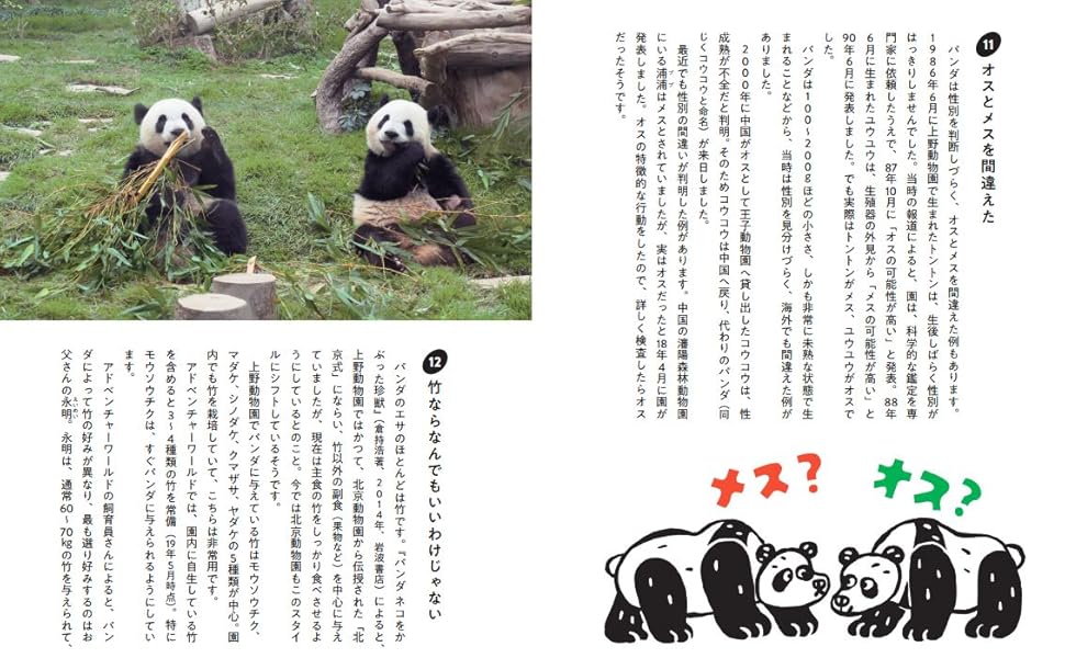 激レア！　WE LOVE PANDA FAMILY　アドベンチャーワールド 激レア！ WE LOVE PANDA FAMILY アドベンチャーワールド