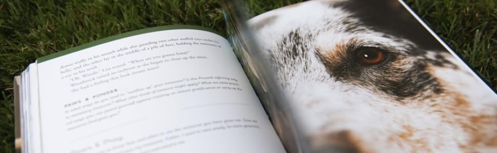 stay with me book a dogs way home grace of dogs dog grief lessons grace of dogs dog blessings pet