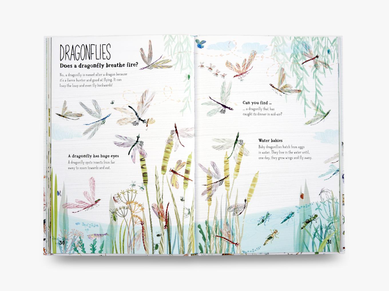 The Big Book of Bugs Amazon.co.uk Yuval Zommer, Barbara Taylor Books