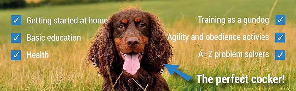 The Cocker Spaniel: Care and Training for Home and Sport 10 gundog training, spaniel, cocker spaniel, quiller publishing