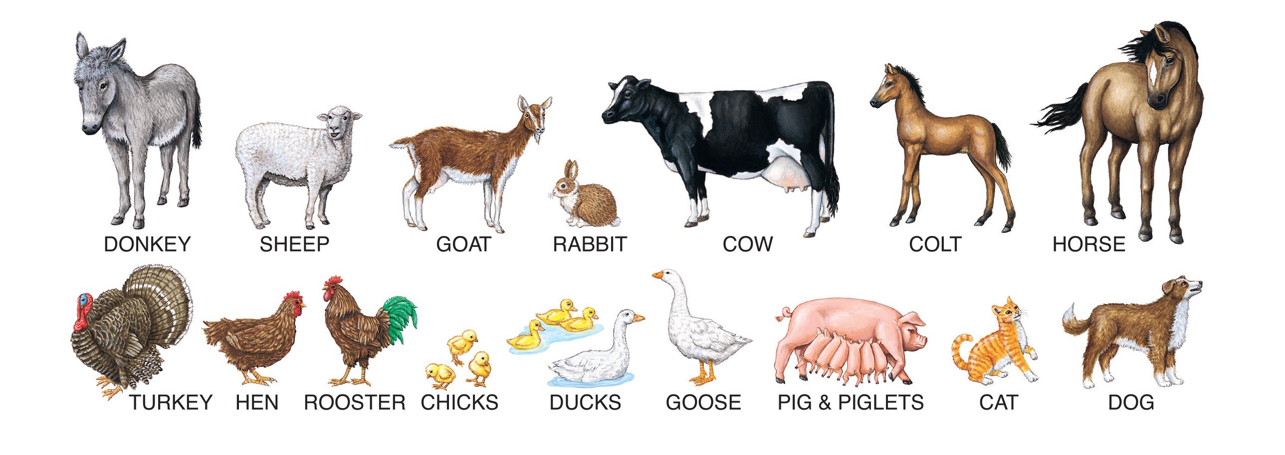 CreateAScene Playset Farm Toys & Games