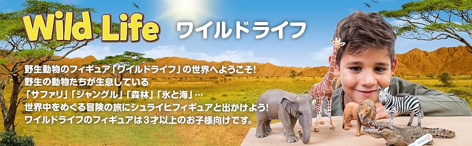(未使用･未開封品)　シュライヒ ワイルドライフ バイソン フィギュア 14714 v1yptgt Amazon.co.jp: シュライヒ ワイルドライフ バイソン フィギュア