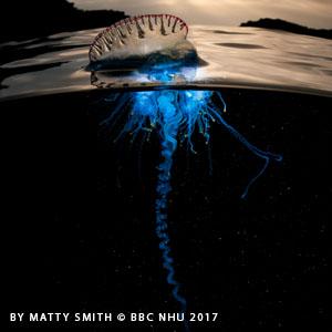 Small manufacture image 4