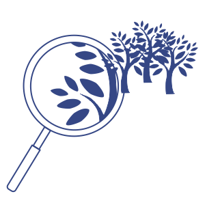 TRENDnet’s Indoor / Outdoor 4 MP Varifocal PoE IR Dome Network Camera, model TV-IP345PI