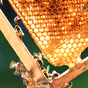 Small manufacture image 3