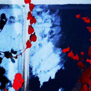 The Suicide House A Rory Moore Lane Phillips Novel Charlie Donlea 9781496727152 July 2020