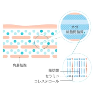 コーセー　カルテクリニティスタビライズエッセンス(美容液)✖5本セット Amazon | コーセー (KOSE) カルテ クリニティ スタビライズ