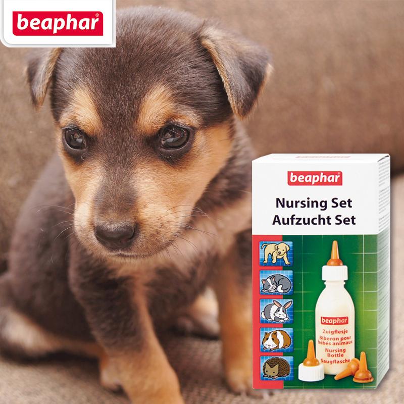 Aufzucht Set für Katzenbabys Zum Aufziehen von Hunden, Kleintieren etc. Spülmaschinenfest