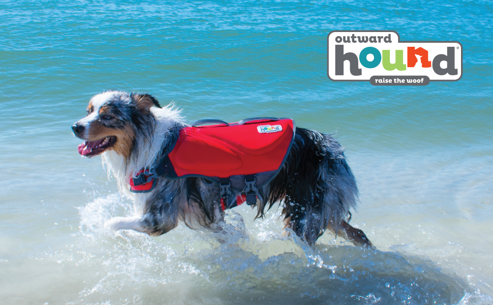Dog life jacket big w Clearance