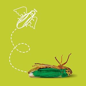 Small manufacture image 3