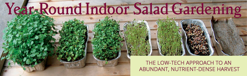 nutrient-dense, salad, greens, grow, organic, sprouts, spinach, microgreens, buckwheat, arugula