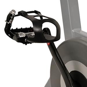 sunny health & fitness exercise cycling bike with heavy 49 lb chrome flywheel