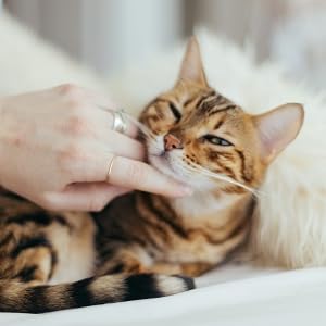 Tabiatda erotik rasmlar Larri Croft porno multfilmlar