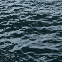 Amazon.co.jp: ウエストランド ピーテッド [ ウイスキー