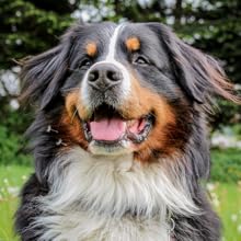 Small manufacture image 5