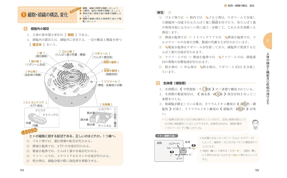 Amazon.co.jp: よくわかる管理栄養士合格テキスト (国家・資格