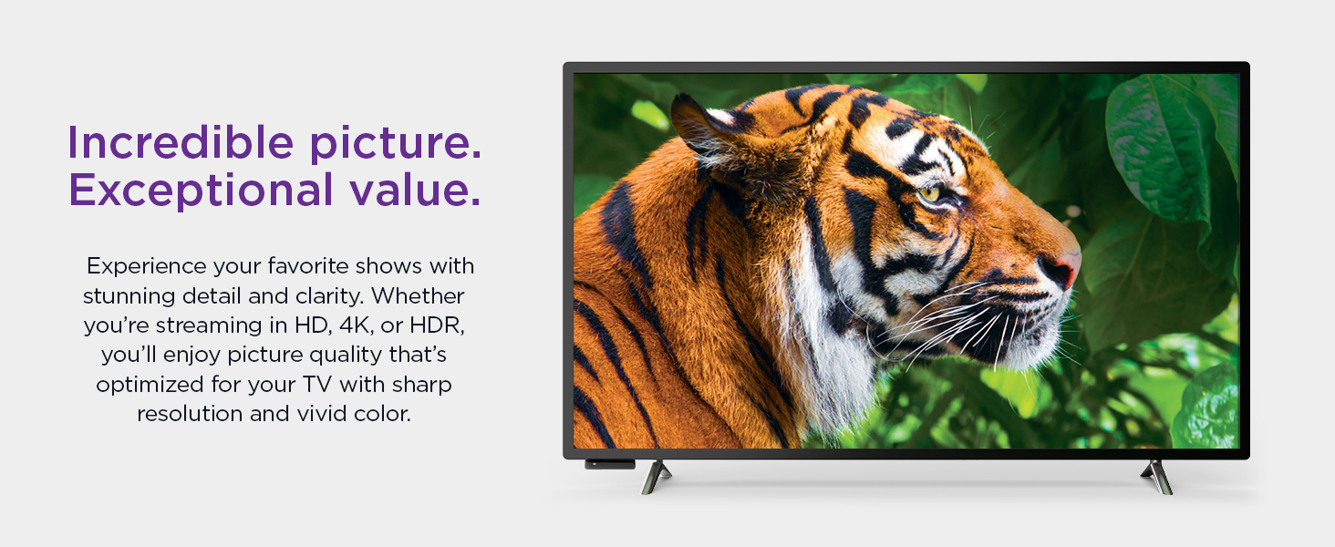 Roku premiere incredible picture, exceptional value