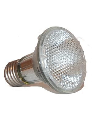 Halogen-Sonnenlampe.
