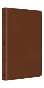 ESV Large Print Value Thinline Bible, TruTone, Camel