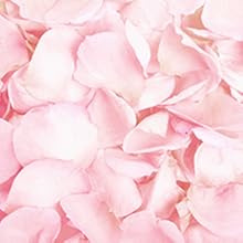 love beauty and planet,condicionador,manteiga de murumuru,rosas,curls intensify,cacheado,crespo