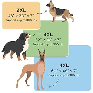 furhaven; art; image; visual; size; comparison