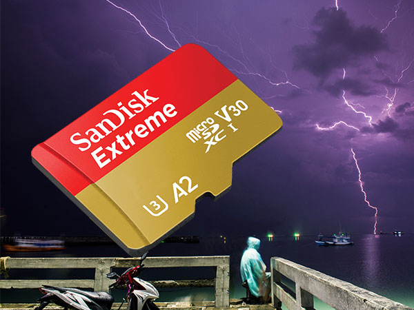 ●SANDISK　SDSQXA0-400G-JN3MD [400GB] NEW SanDisk 400GB Micro SDXC Card UHS-I for Nintendo Switch