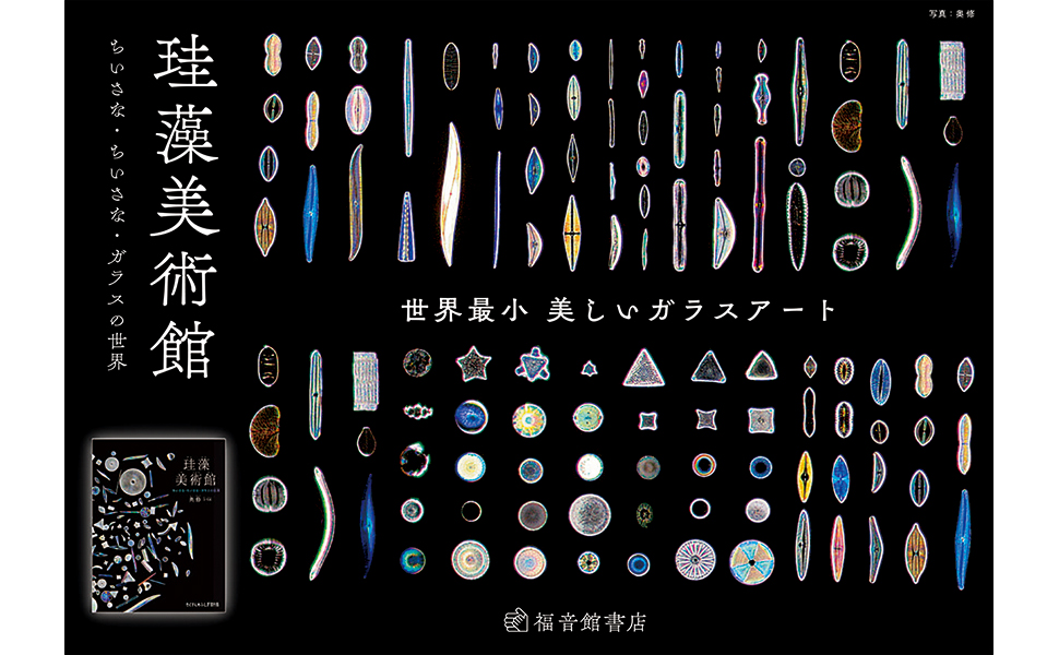 珪藻美術館 = Diatoms Art Museum 珪藻美術館 Diatoms Art Museum | 奥修 |本 | 通販 | Amazon