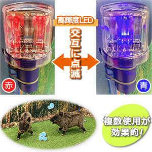 防獣ライト ZX‐720（モーションセンサーモデル） | ZEXUS公式サイト | ゼクサス