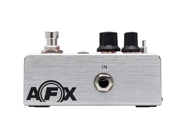 Amazon.com: Fishman AFX AcoustiVerb Reverb Pedal : Musical