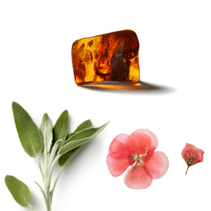 7-hair-care, seven-hair-care, natural hair, cruelty-free, sulfate-free, professional hair product