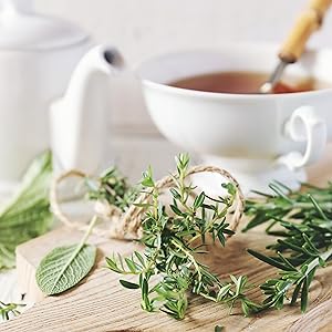 herbal apple cider honey elixir