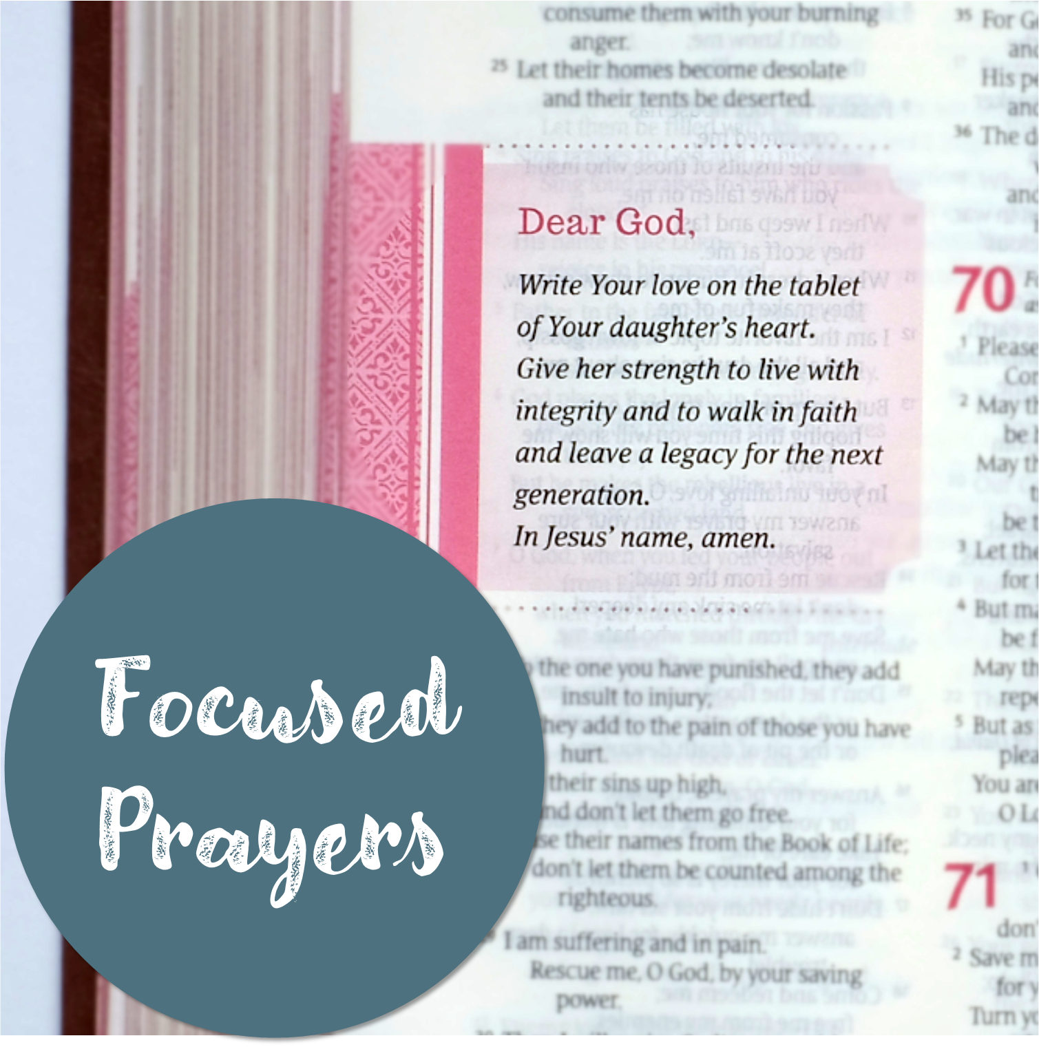NLT THRIVE Devotional Bible for Women (Hardcover)