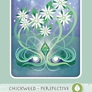 mind body spirit, red feather, healing, herbal-ism, divination, shamanism, tarot, oracle