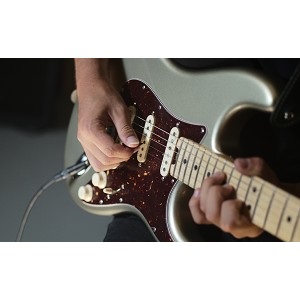 Amazon.co.jp: Fender ピック 346 Dura-Tone .46 12-Pack