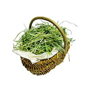 Amazon Extolevel エクストレベル Premium Mix プレミアムミックス 1番刈チモシー X アルファルファ 混合牧草 500g 1番刈チモシー アルファルファ混合牧草 Extolevel エクストレベル フード 通販