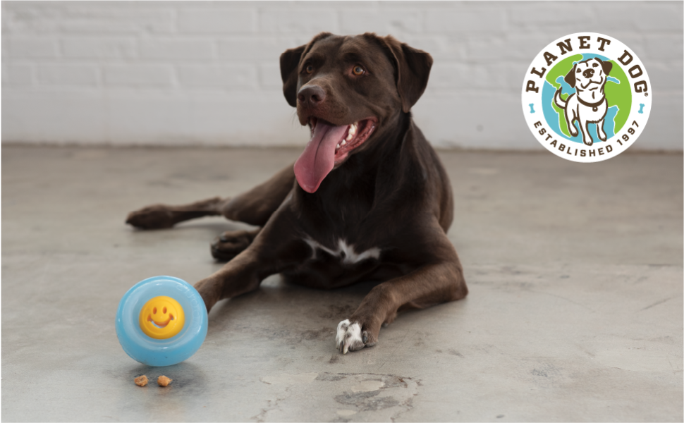 Planet Dog Orbee-Tuff Nooks Green Paw Print Treat-Dispensing Dog Toy 5 Nooks