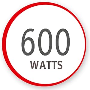 DAILYCHEF 2 en 1 (blanc) MOULINEX DD5521 Mixeur plongeant