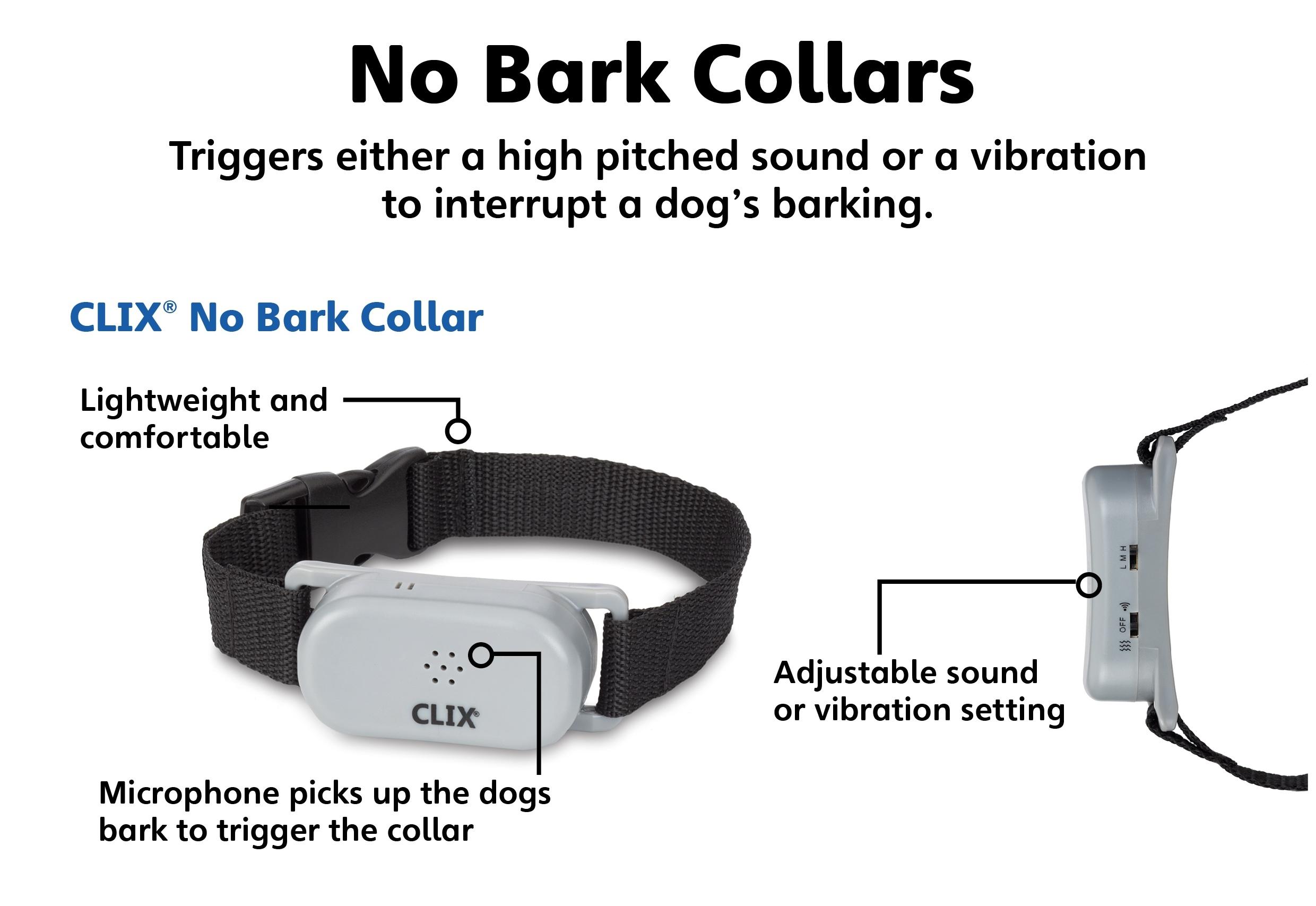 COA NoBark Collar Small Amazon.co.uk Pet Supplies