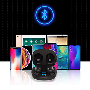 pTron Bassbuds Pro in-Ear True Wireless Bluetooth Headphones