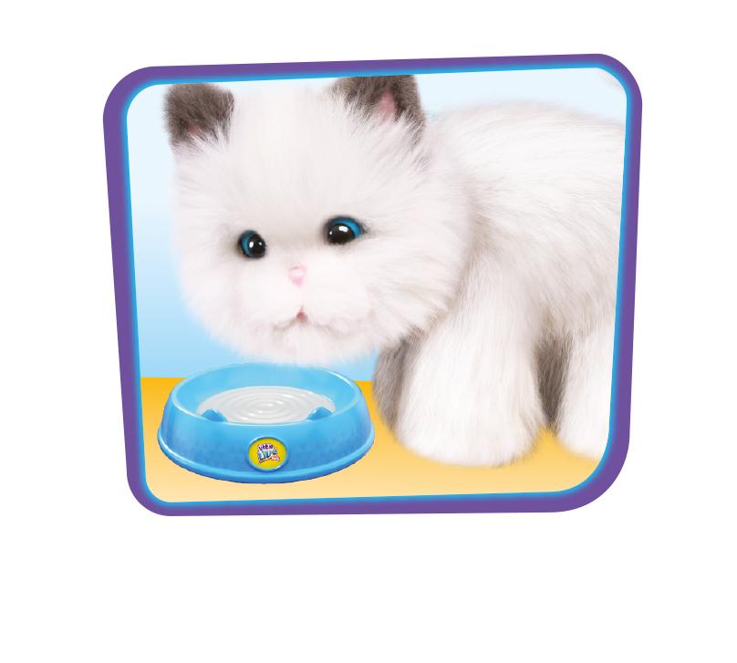 Little Live Pets Cuddles the Kitten Little Live Pets Amazon.co.uk