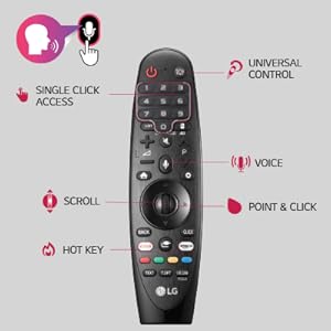 Magic Remote