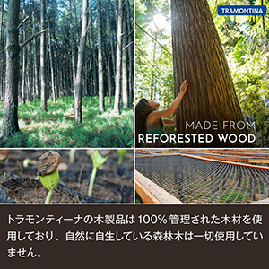 トラモンティーナ シュラスコ 丸耳付ステーキ鉄板セット