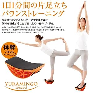 ★ドイツ語 洋書 / 負荷 - 疲労 - パフォーマンス 最新のトレーニング構造 ☆ドイツ語 洋書 / 負荷 - 疲労 - パフォーマンス 最新の