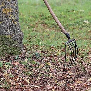 old farmer's almanac