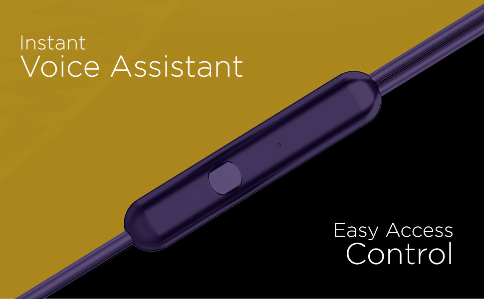 Voice Assistant