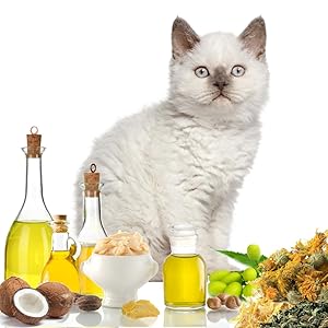 cat boo boo butter ingredients