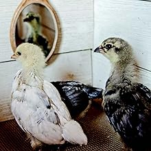 Small manufacture image 5