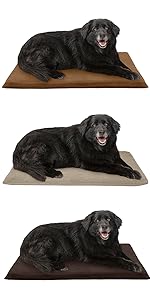 related products; dog; cat; pet; bed; 2 inch; ortho; mat