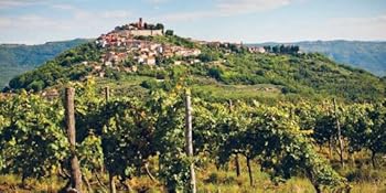 Wine Trails - Europe 